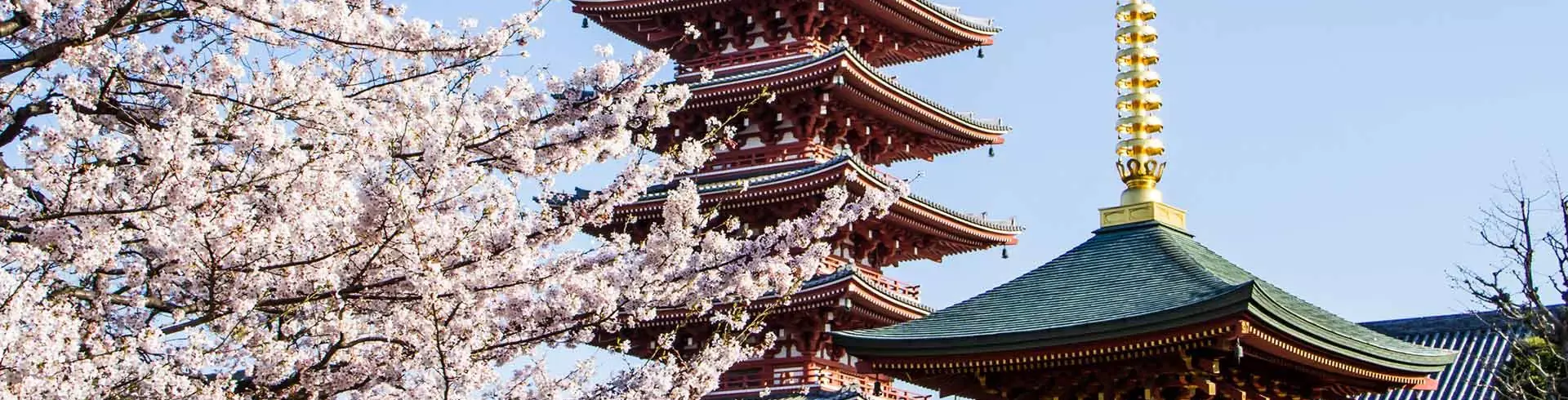 Japonia - w krainie gejsz i samurajów
